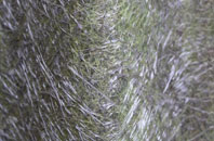 Overmoor fibreglass roof work